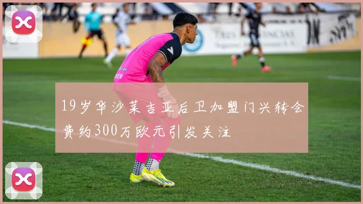 19岁华沙莱吉亚后卫加盟门兴转会费约300万欧元引发关注