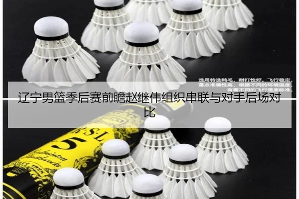 辽宁男篮季后赛前瞻赵继伟组织串联与对手后场对比
